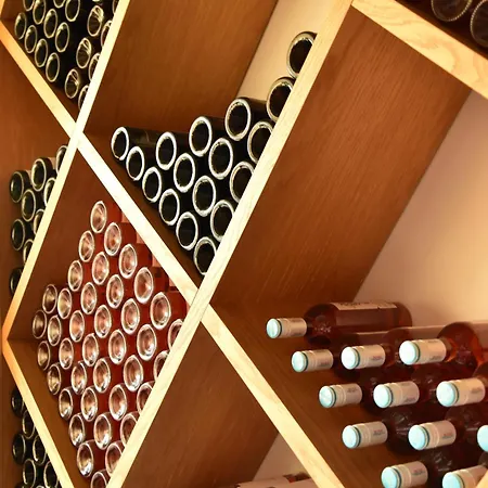 邦尼欧拜德埃格萨米酒店 4*