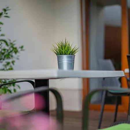 邦尼欧拜德埃格萨米酒店 4* 包道乔尼托毛伊